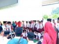 Tn MMFTSM'13  0312